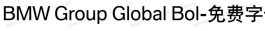 BMW Group Global Bol字体转换
